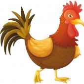 Cock Wall Stickers