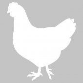 Cock - Whiteboard Wall Stickers