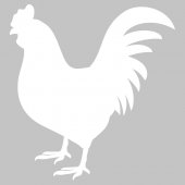 Cock - Whiteboard Wall Stickers