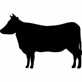 Cow - Chalkboard / Blackboard Wall Stickers