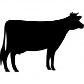 Cow - Chalkboard / Blackboard Wall Stickers