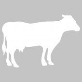 Cow - Whiteboard Wall Stickers