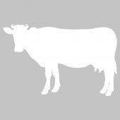 Cow - Whiteboard Wall Stickers