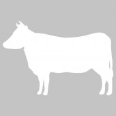 Cow - Whiteboard Wall Stickers