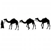 Dromedary Wall Stickers