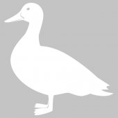 Duck Whiteboard Wall Stickers