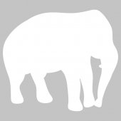 Elephant - Whiteboard Wall Stickers