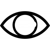 Eye - Decal Sticker for Ipad 2
