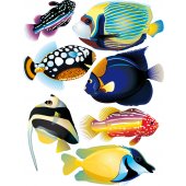 Fish Set Wall Stickers