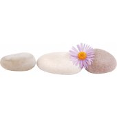 Flower Pebbles Wall Stickers