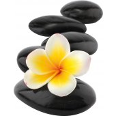 Flower Pebbles Wall Stickers