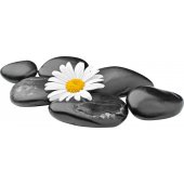 Flower Pebbles Wall Stickers