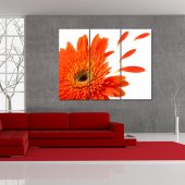 Flower - Triptych Forex Print