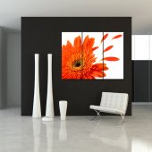 Flower - Triptych Forex Print