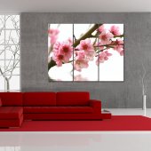 Flower - Triptych Forex Print