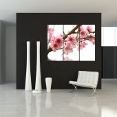 Flower - Triptych Forex Print