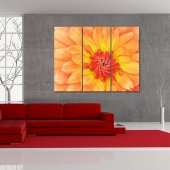 Flower - Triptych Forex Print