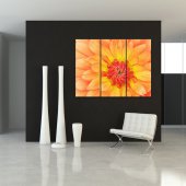 Flower - Triptych Forex Print