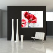 Flower - Triptych Forex Print