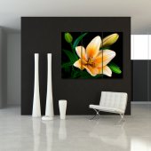 Flower - Triptych Forex Print