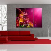 Flower - Triptych Forex Print