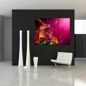 Flower - Triptych Forex Print