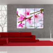 Flower - Triptych Forex Print