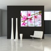 Flower - Triptych Forex Print