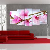 Flower - Triptych Forex Print