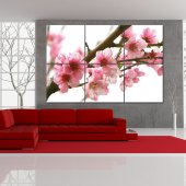 Flower - Triptych Forex Print