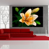 Flower - Triptych Forex Print