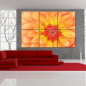 Flower - Triptych Forex Print