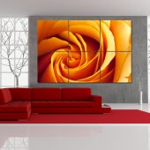 Flower - Triptych Forex Print