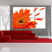 Flower - Triptych Forex Print