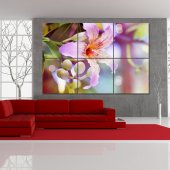 Flower - Triptych Forex Print