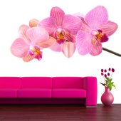 Flower Wall Stickers