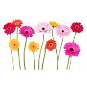 Flower Wall Stickers