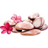 Flowers Pebbles Wall Stickers