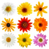 Flowers Set Wall Stickers