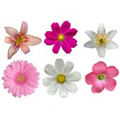 Flowers Set Wall Stickers