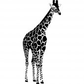 Giraffe Wall Stickers