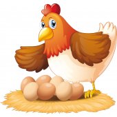 hen Wall Stickers