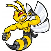 Hornet Wall Stickers