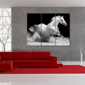 Horse - Triptych Forex Print