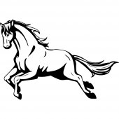 Horse Wall Stickers