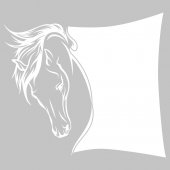 Horse - Whiteboard Wall Stickers