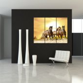 Horses - Triptych Forex Print