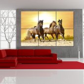 Horses - Triptych Forex Print