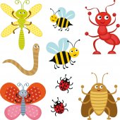 insect Set Wall Stickers