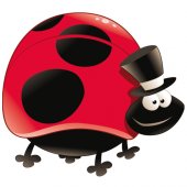 Ladybug Wall Stickers